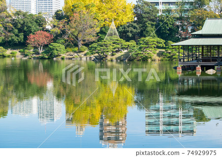 東京都江東區清澄庭園,秋季大泉和中之島景色優美,被東京都政府指定為風景名勝區。 東京都江東區清澄庭園,秋季大泉和中之島景色優美,被東京都政府指定為風景名勝區。 74929975