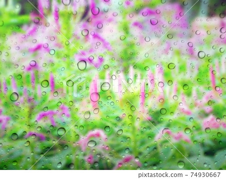 Close-up of water drops on glass surface as background 74930667