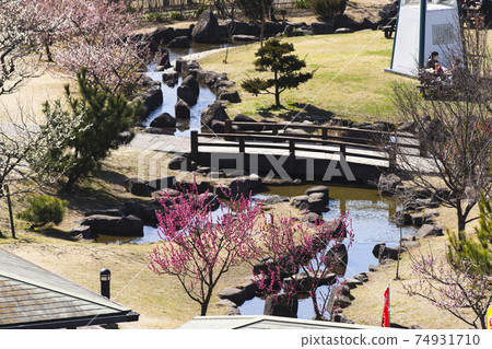 Souri Pond Ume no Yakata Ume and Kawazu Sakura Fureai Square 2021 74931710