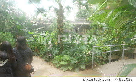 Seoul Botanical Garden Seoul Botanical Garden 74932038