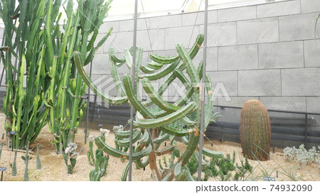 Seoul Botanical Garden Seoul Botanical Garden 74932090