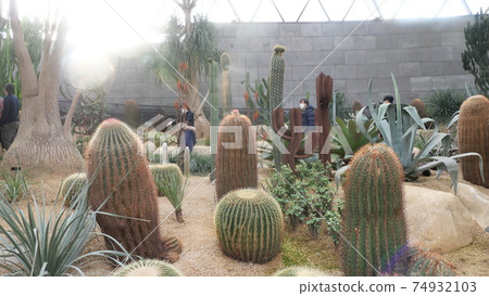 Seoul Botanical Garden 74932103