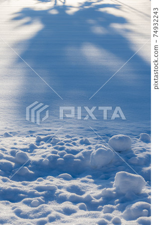 雪原的陰影 雪原的陰影 74932243