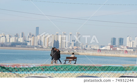 冬季黃瓜 74932244