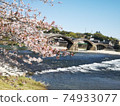 五橋，櫻花和錦木河 74933077