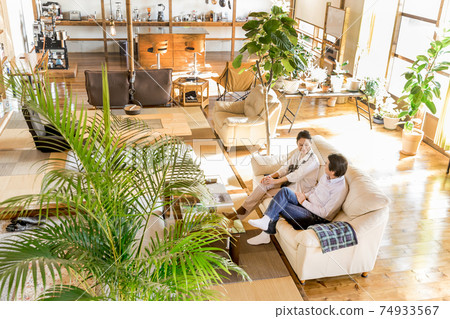 Nesting / House time: Senior couple relaxing in a renovated house 74933567