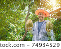 Asian farmer holding Durian in his garden and smiles happily . Durian is a king of fruit in Thailand . 74934529