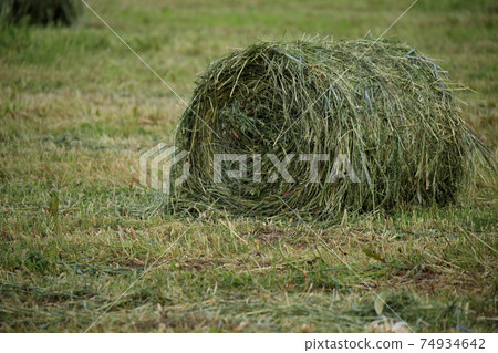 A landscape with a large cut grass roll 74934642