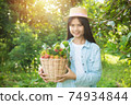 Young beautiful asian girl gardener harvest rambutan fruit in her organic fruit garden,Organic fruit agriculture concept. 74934844