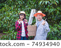 Happy Thai farmer picking magoesteen fruit in organic garden,Organic garden concept. 74934940