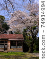 Sakura and Elementary School Superb view Closed school Retro Graduation ceremony Entrance ceremony Sepia School Spring Full bloom Chiba Prefecture 74934994