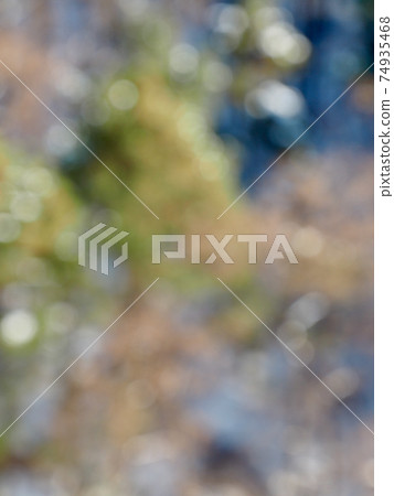 Abstract forest bokeh background, stray focus 74935468