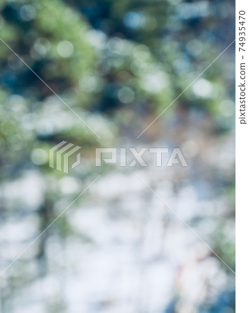 Abstract forest bokeh background, stray focus Abstract forest bokeh background, stray focus 74935470