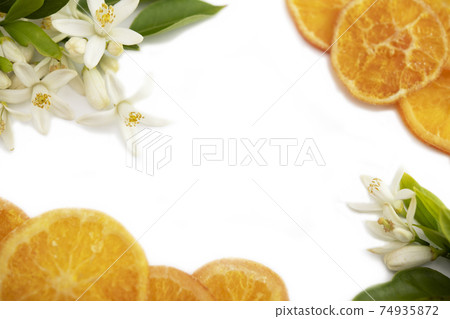 Dried fruit background Dried fruit background 74935872