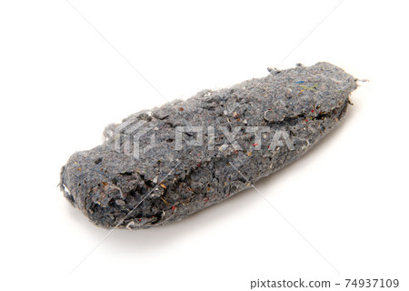 Garbage in washing machine and lint filter Garbage in washing machine and lint filter 74937109