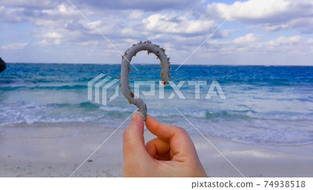 [Marine debris] Broken plastic hanger hook 74938518