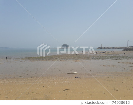 Shellfish finders Shellfish finders 74938613