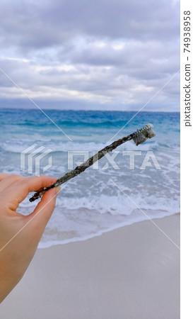 [Marine debris] Beautiful sea and black plastic toothbrush 74938958