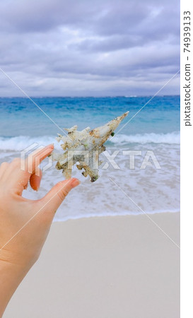 [Marine debris] Beautiful sea and plastic airplane 74939133