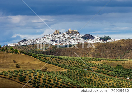 Olvera white village in Cadiz province, Andalucia, Spain Olvera white village in Cadiz province, Andalucia, Spain 74939480