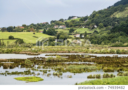 Urdaibai Birdcenter in Basque country, Spain, Europe Urdaibai Birdcenter in Basque country, Spain, Europe 74939482
