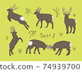 Ezo deer male various poses 74939700