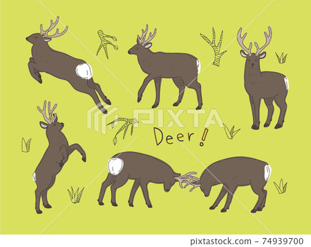 Ezo deer male various poses Ezo deer male various poses 74939700