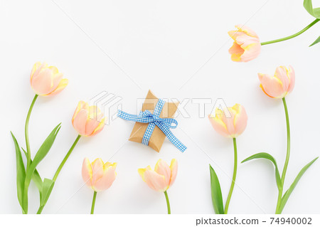 White background of tulips and gift box 74940002