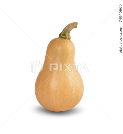 Butternut squash isolated on white background Butternut squash isolated on white background 74940669