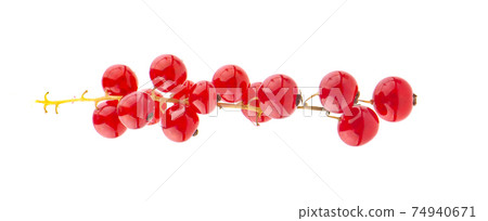 Red currant berries an isolated on White Background Red currant berries an isolated on White Background 74940671