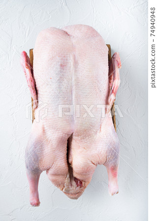 Raw young goose on white background, top view Raw young goose on white background, top view 74940948