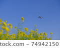 Superb view Rape blossoms and airplane Blue sky Narita Airport Sakuranoyama Sky station Spring walk 74942150