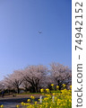 Superb view Rape blossoms and airplane Blue sky Narita Airport Sakuranoyama Sky station Spring walk 74942152