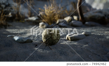 An old torn soccer ball thrown lies on sand of sea beach An old torn soccer ball thrown lies on sand of sea beach 74942462