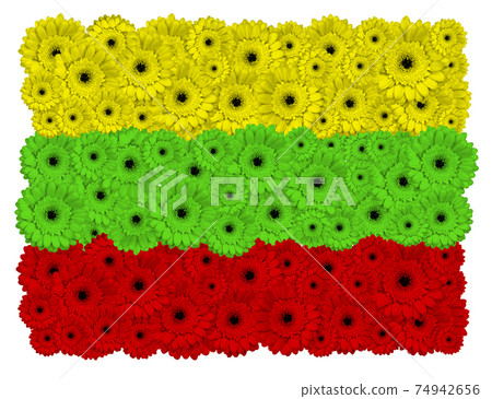 Lithuanian flag made of gerbera flowers Lithuanian flag made of gerbera flowers 74942656