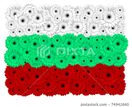 Bulgarian flag made of gerbera flowers Bulgarian flag made of gerbera flowers 74942660