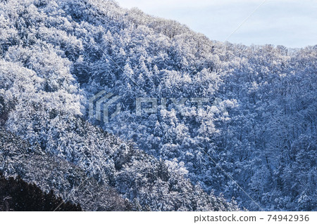 奧多摩的雪山冬季風光一月 奧多摩的雪山冬季風光一月 74942936