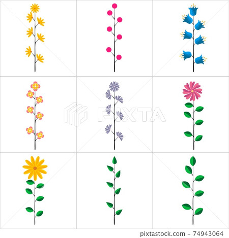set of brushes from flowers and leaves for your design. Isolated on a white background. 74943064