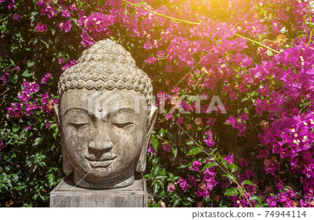 Buddhism bust statue in front of a stone wall that is covered in purple flowers and leaves on a sunny day. Buddhism bust statue in front of a stone wall that is covered in purple flowers and leaves on a sunny day. 74944114