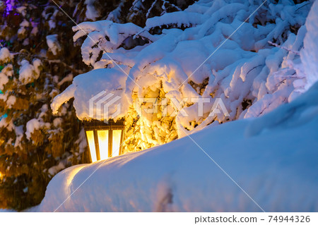 In the park, between the snow-covered Christmas trees, a yellow lantern shines 74944326