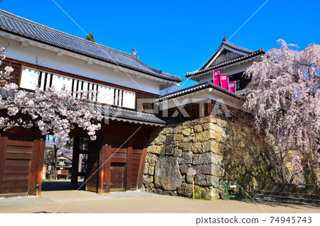 Sakura view Ueda castle Sakura view Ueda castle 74945743