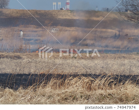 Field burning in the fields Field burning in the fields 74947974