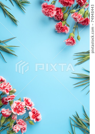 Carnation bouquet mother's day gift carnation Mother's Day 母の日 カーネーション Carnation bouquet mother's day gift carnation Mother's Day 母の日 カーネーション 74948443
