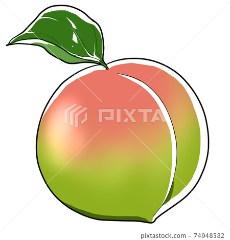 Realistic plum fruit illustration 74948582
