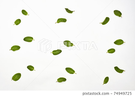 Fresh mint leaves on white 74949725