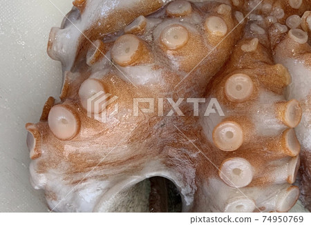 Akashi Dako Akashi Dako 74950769