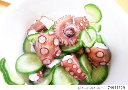 Octopus vine Octopus vine 74951329