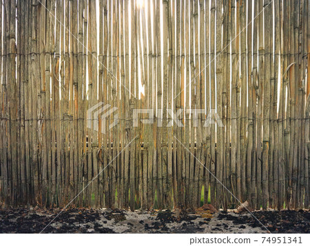 Weathered old garden reed fence 74951341