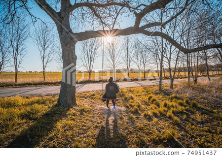Happy young woman on a swing with sunset background Happy young woman on a swing with sunset background 74951437