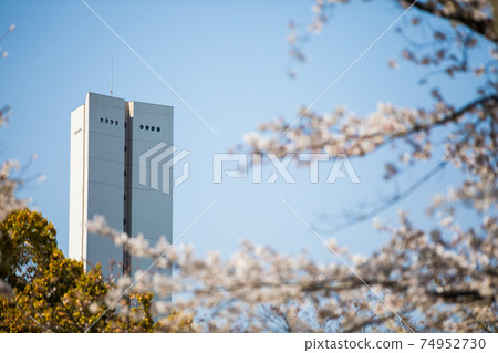 和平塔在大仙公園 和平塔在大仙公園 74952730